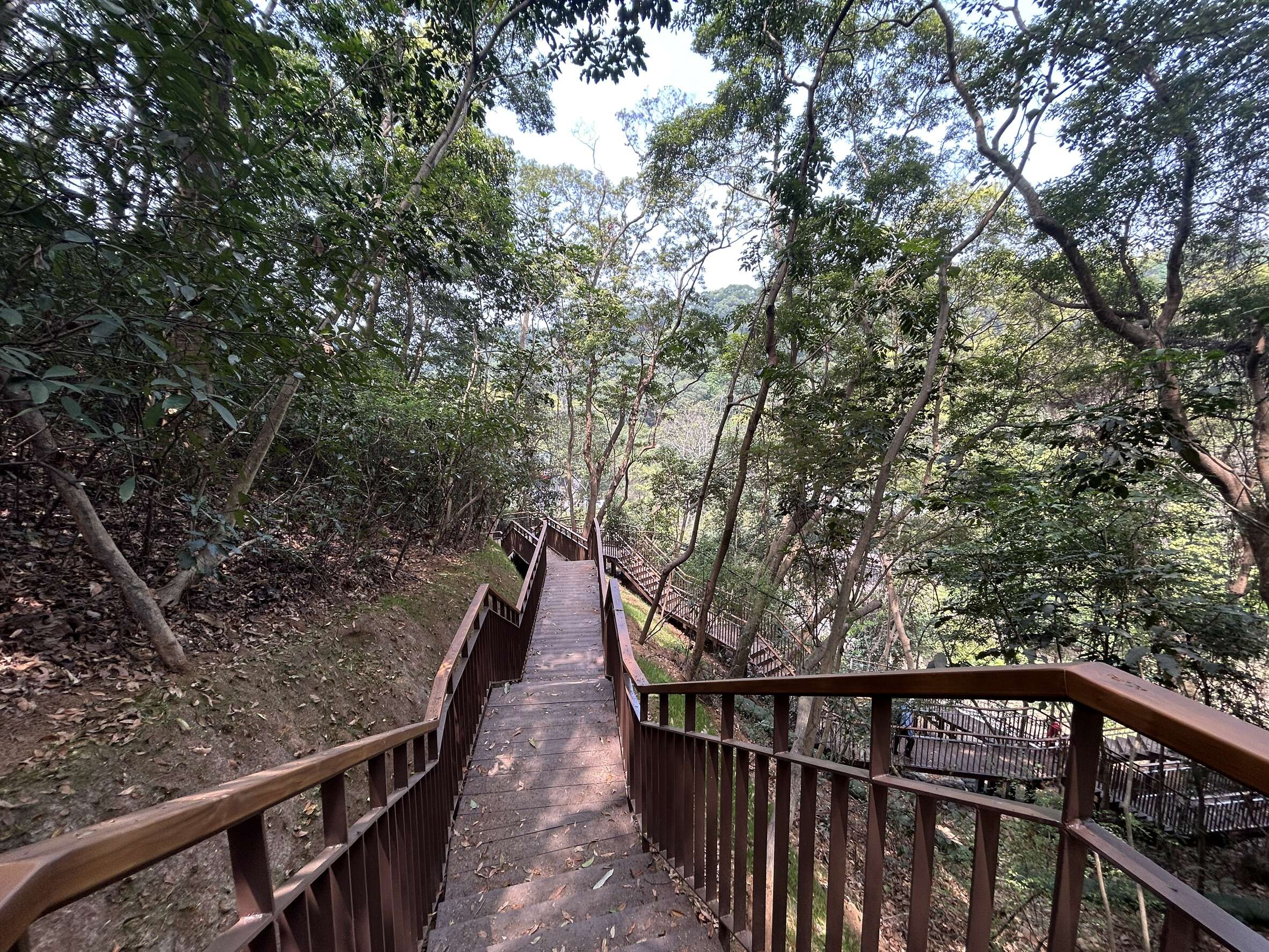 3.大峰巷步道全新亮相,2.3公里環狀啟用