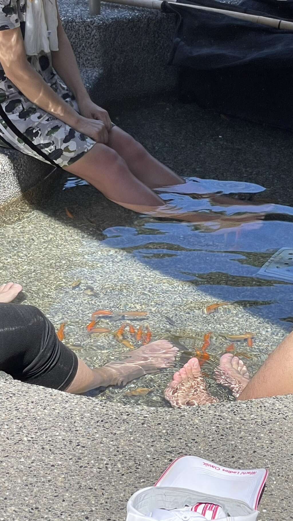 谷關泡腳池親親魚