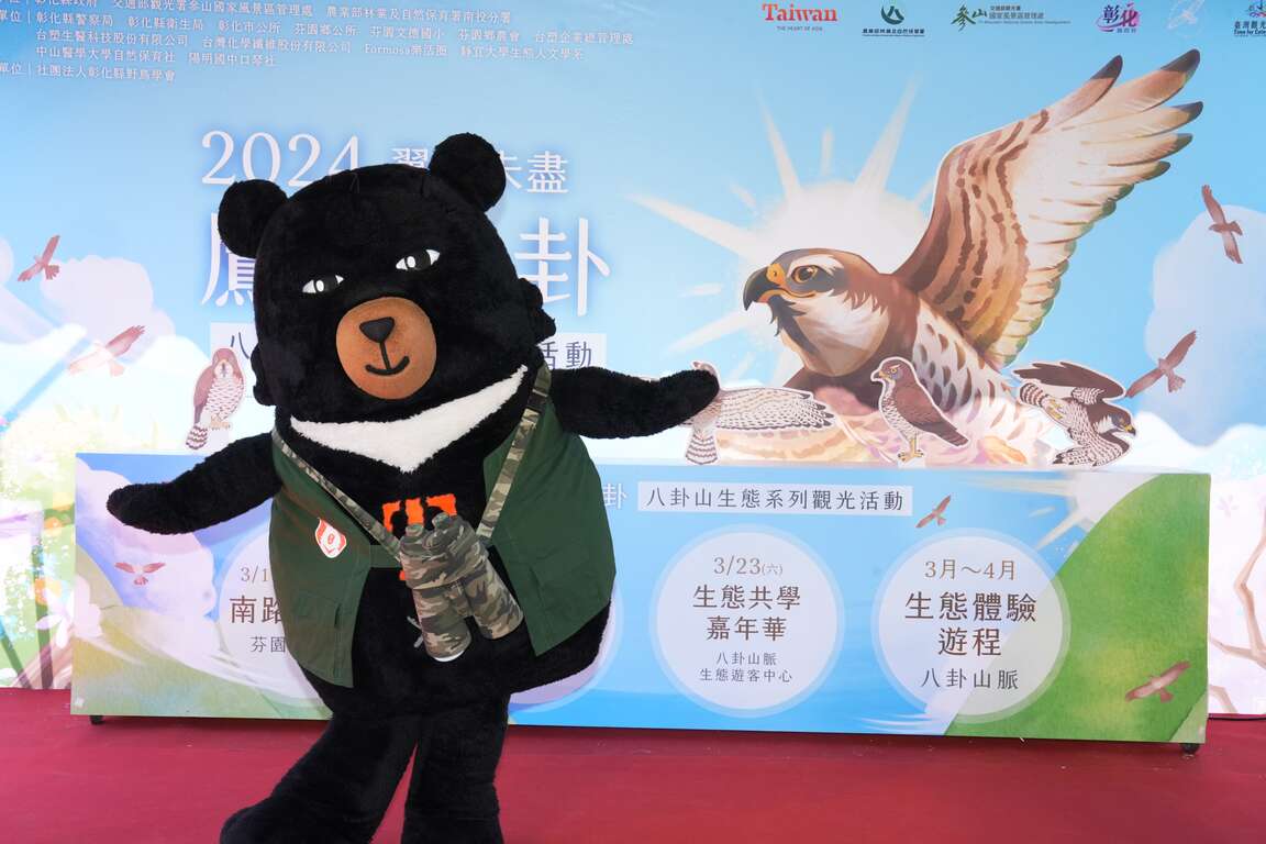 2024鷹揚八卦喔熊