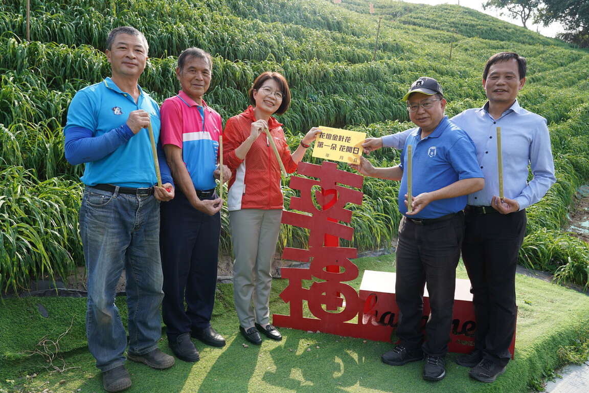 彰化虎山巖金針花大合照