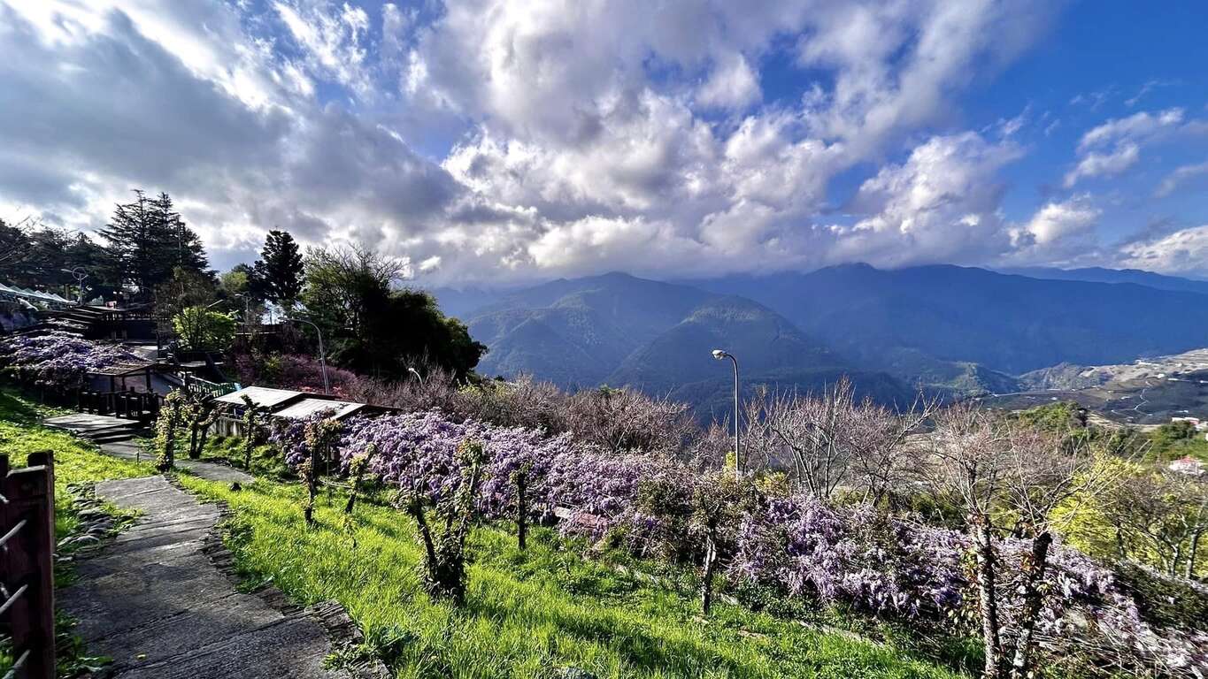 南庄花卉節天空