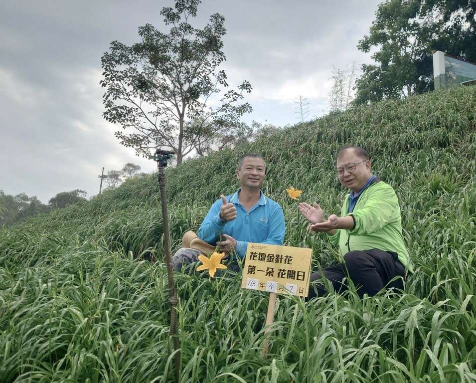 虎山巖金針花合照