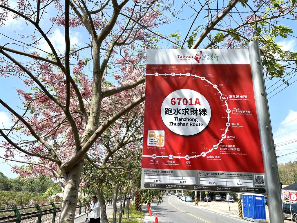 搭乘台灣好行跑水求財線,至源泉派出所站下車,即抵達花旗木賞花點,輕鬆地來趟低碳輕旅行。