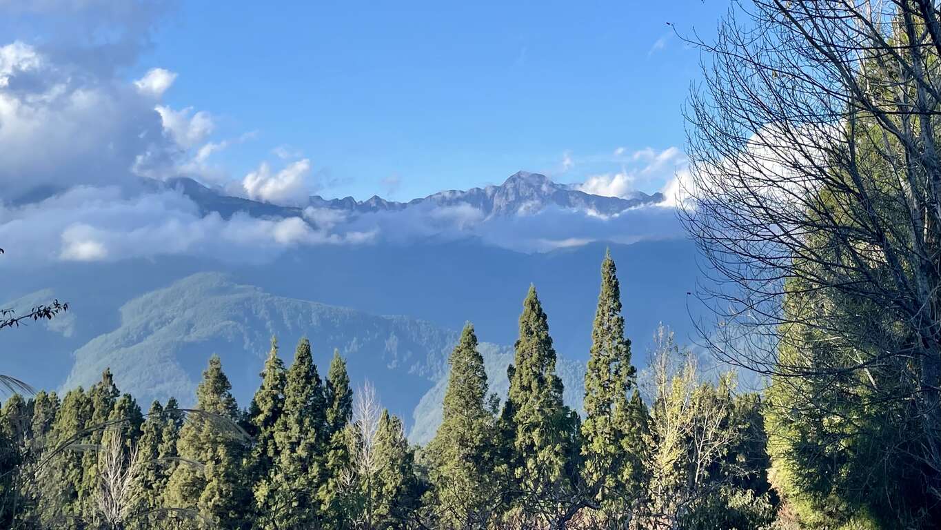 雲海