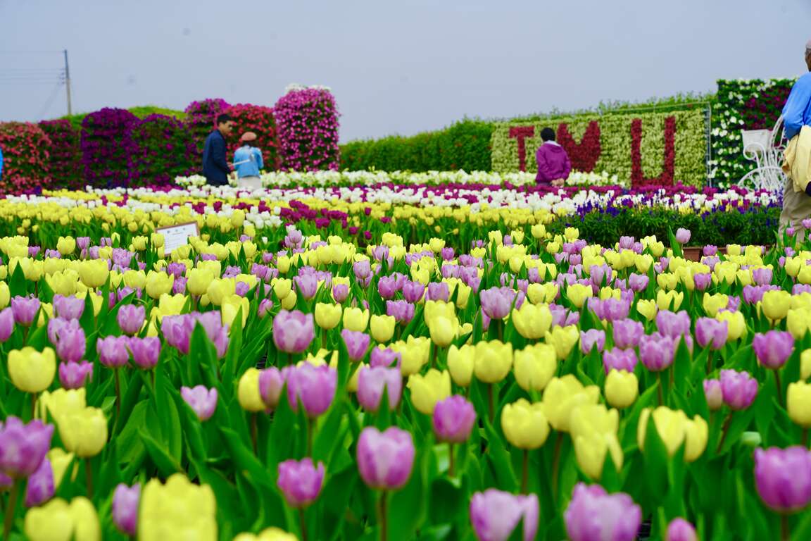 中社花市遠景 臺中市政府觀光旅遊局提供