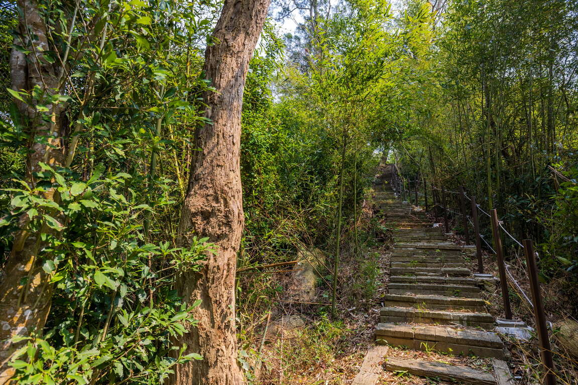山塘背登山步道上坡