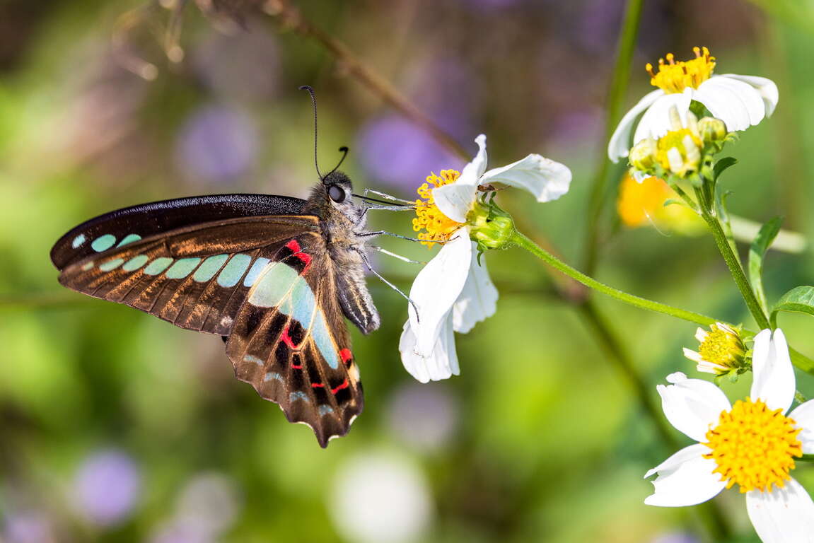 Shantangbei Hiking Trail