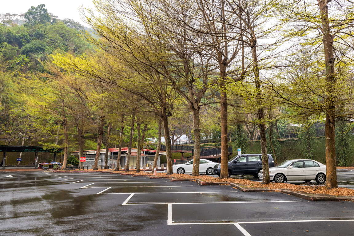豊柏広場遠拍