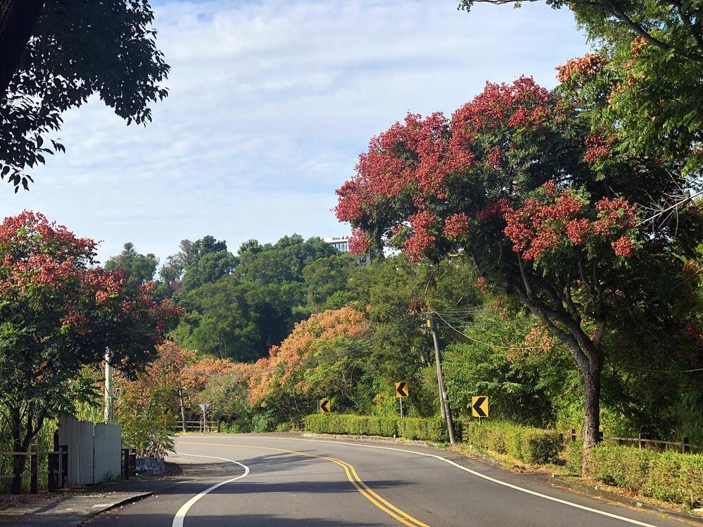 County Highway 139 Scenic Route景色