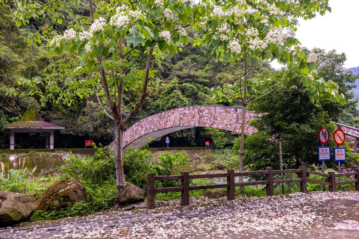 北埔冷泉小橋