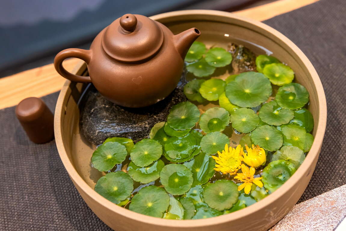 松柏嶺ビジターセンター(茶文化主題館)茶壺