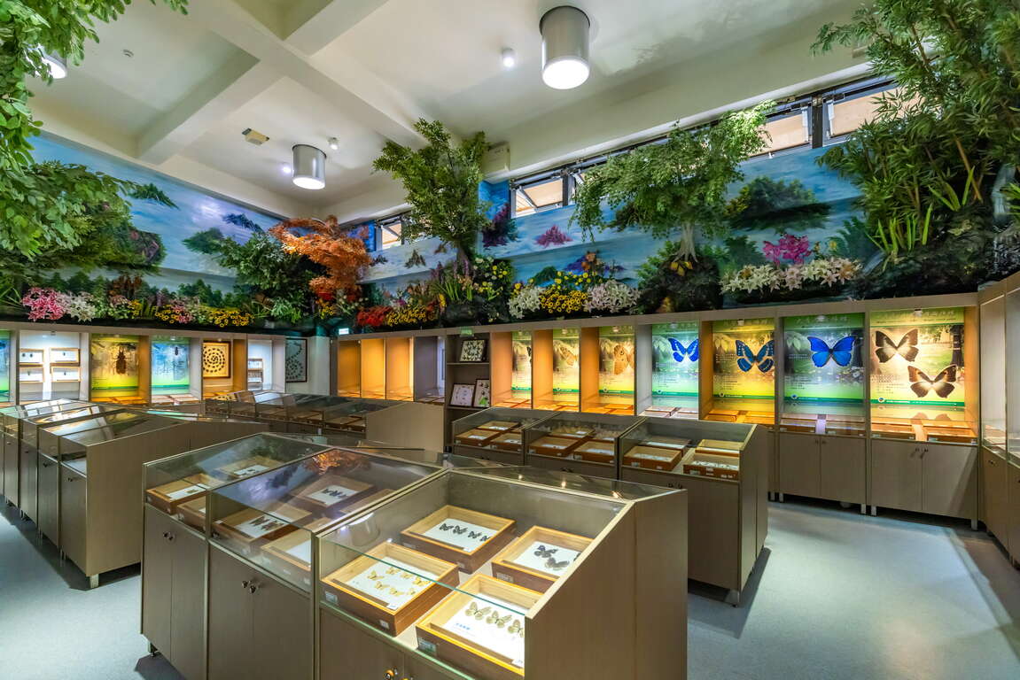 清水岩生態展示センター環境