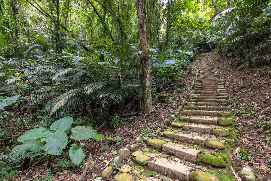 Tengping Trail