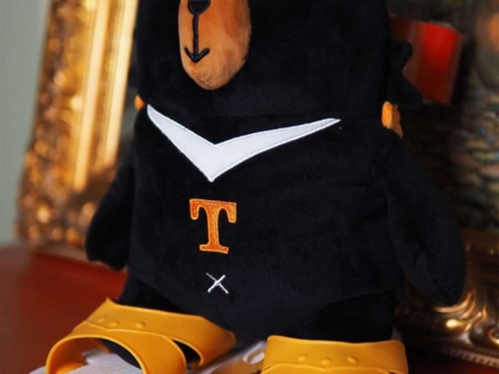 掌握未來步步高升 喔熊拖鞋