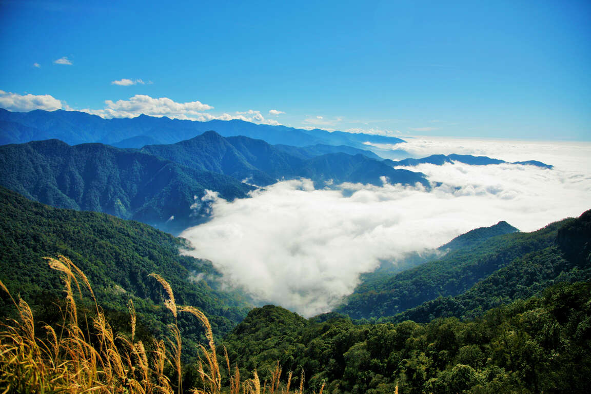 鹿場部落-加里山