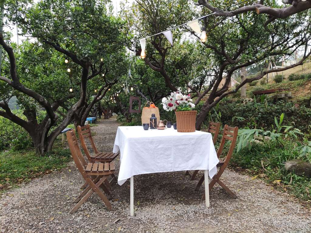 橙香森林裝飾擺設