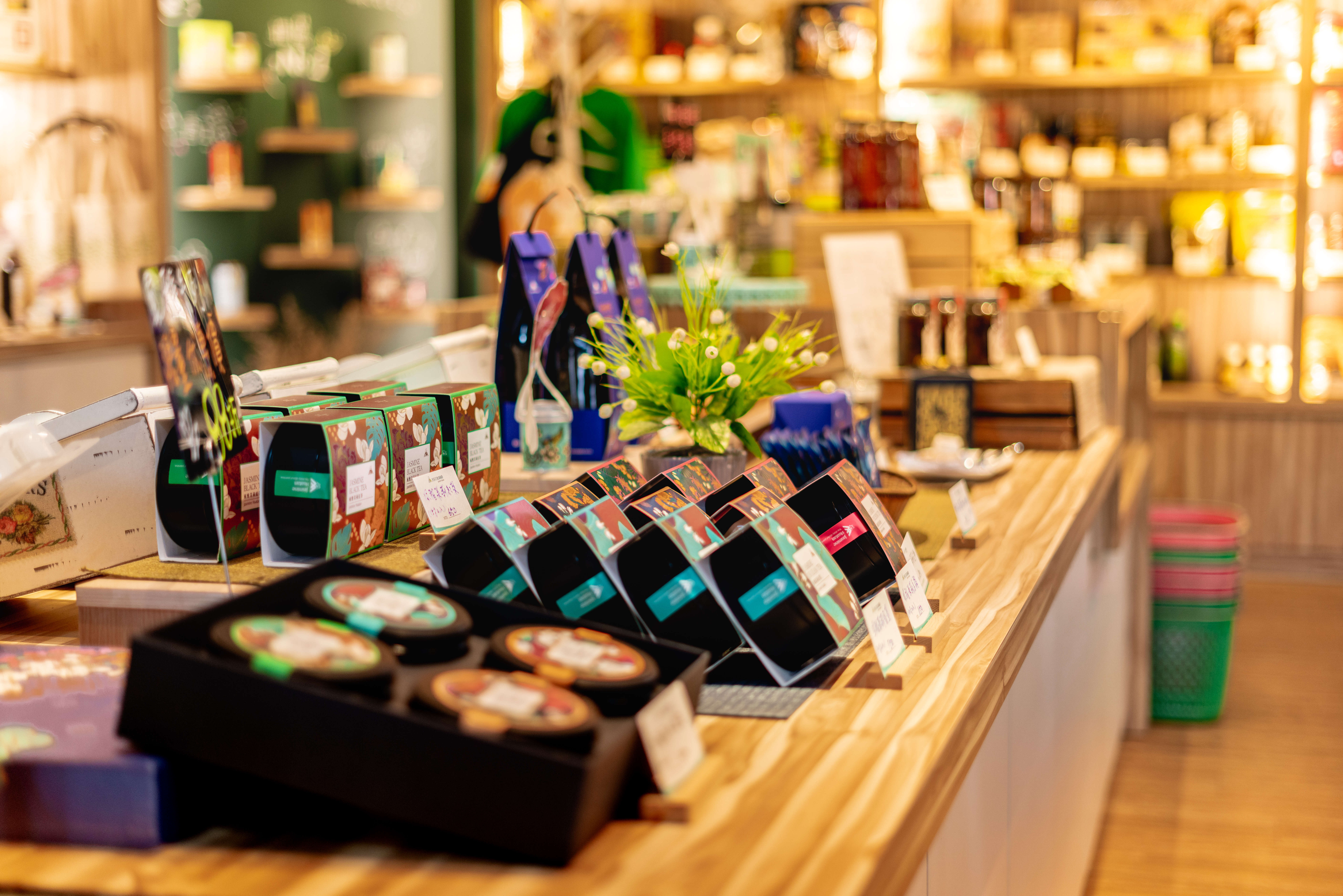 茉莉花壇夢想館