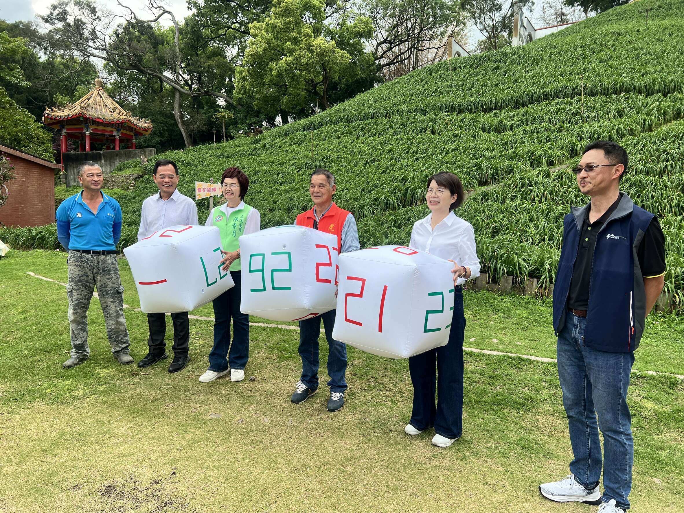 金針花擲骰子