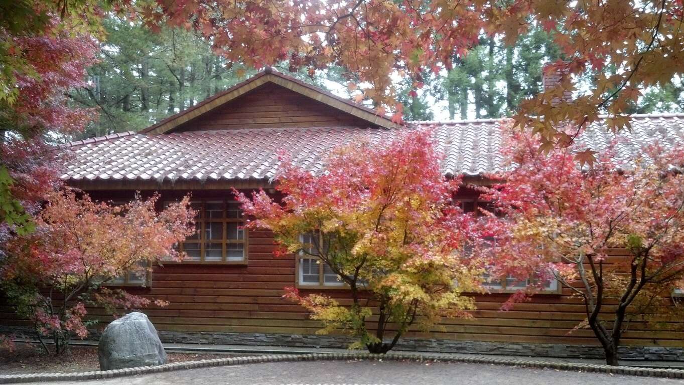 福壽山楓葉