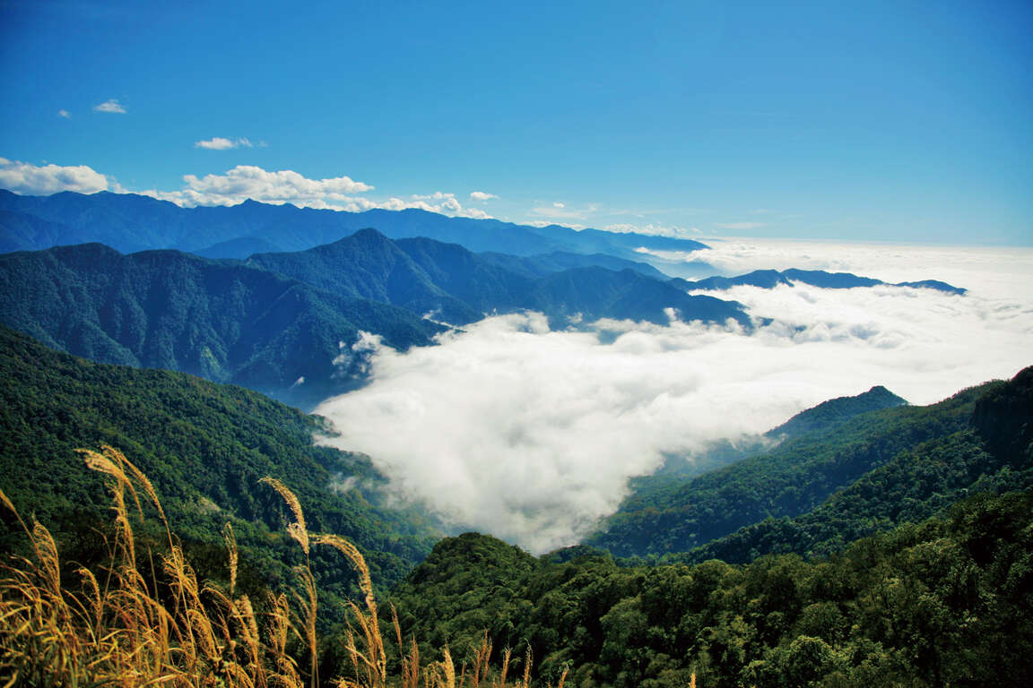 加里山步道(第二級)景色