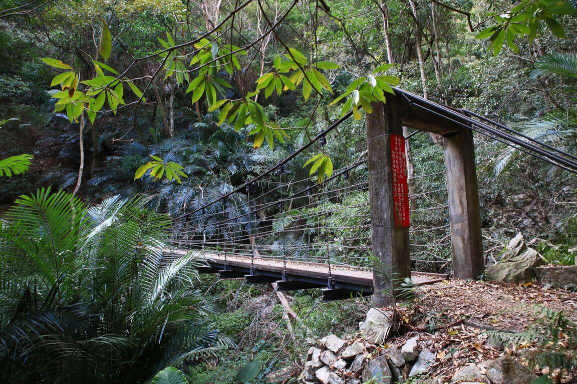 德芙蘭生態步道吊橋步道