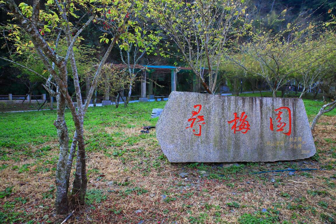 希利克步道(第二級)草地