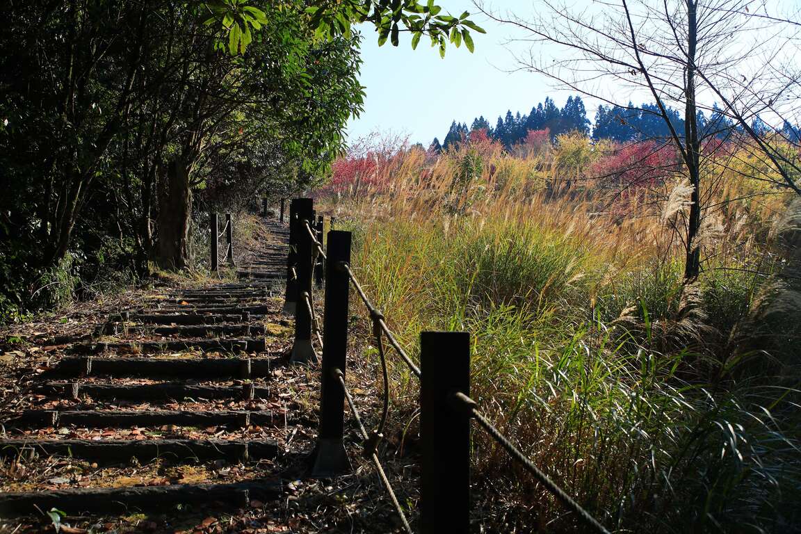 梨山賓館生態環保步道(第二級)景觀