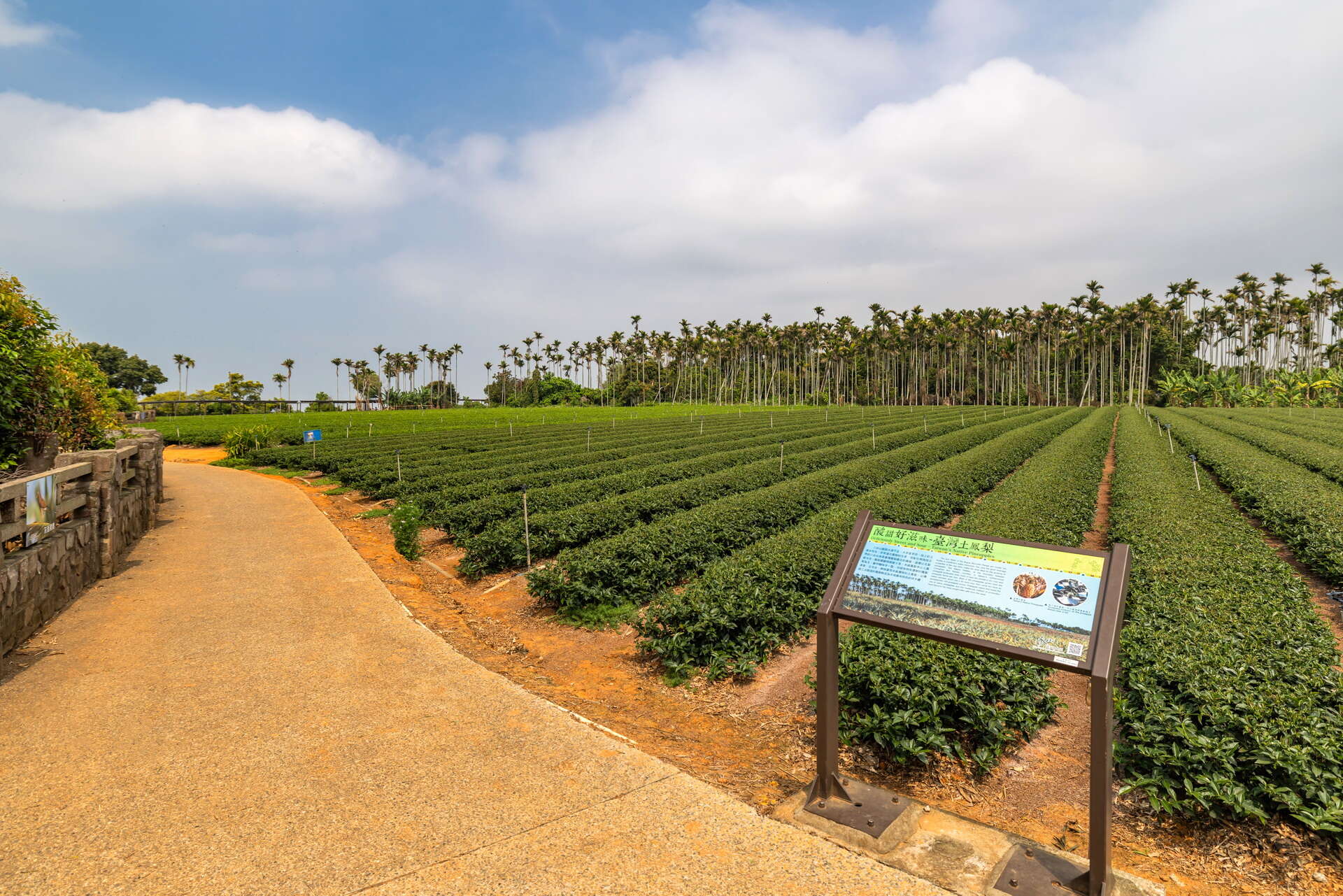 橫山賞鷹平台景觀