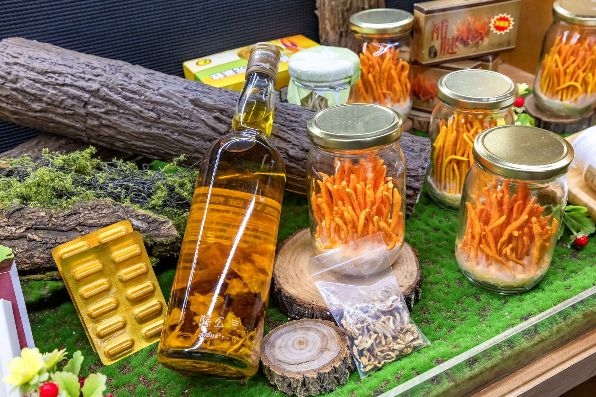 霧峰菇類產學館產品