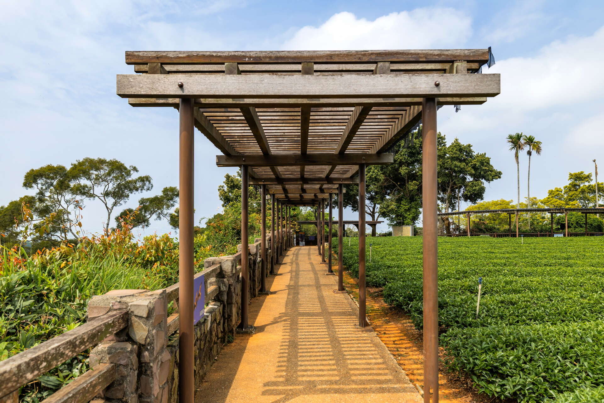 橫山タカウォッチングテラス