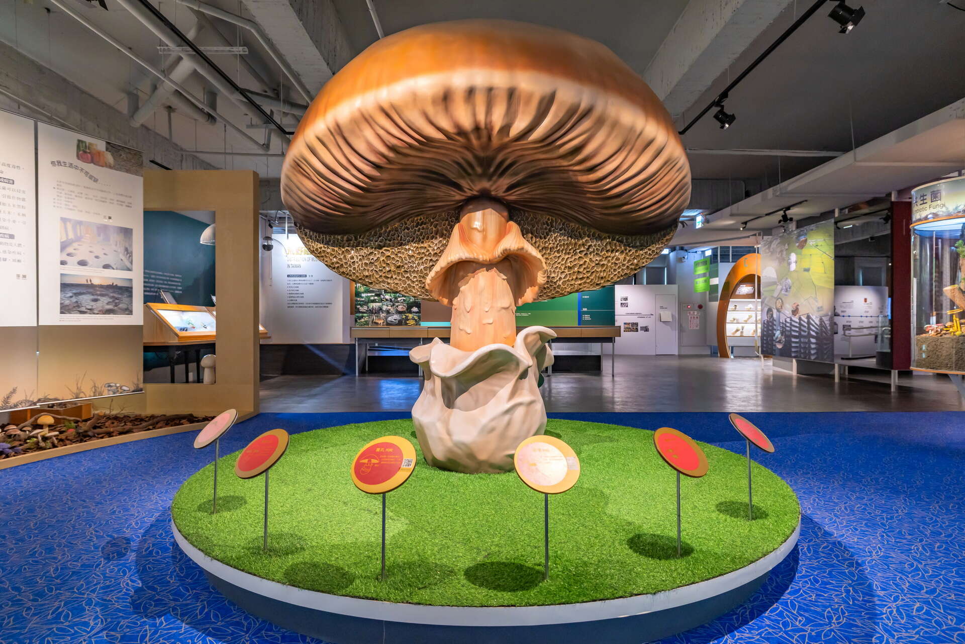 Wufeng Mushroom Museum