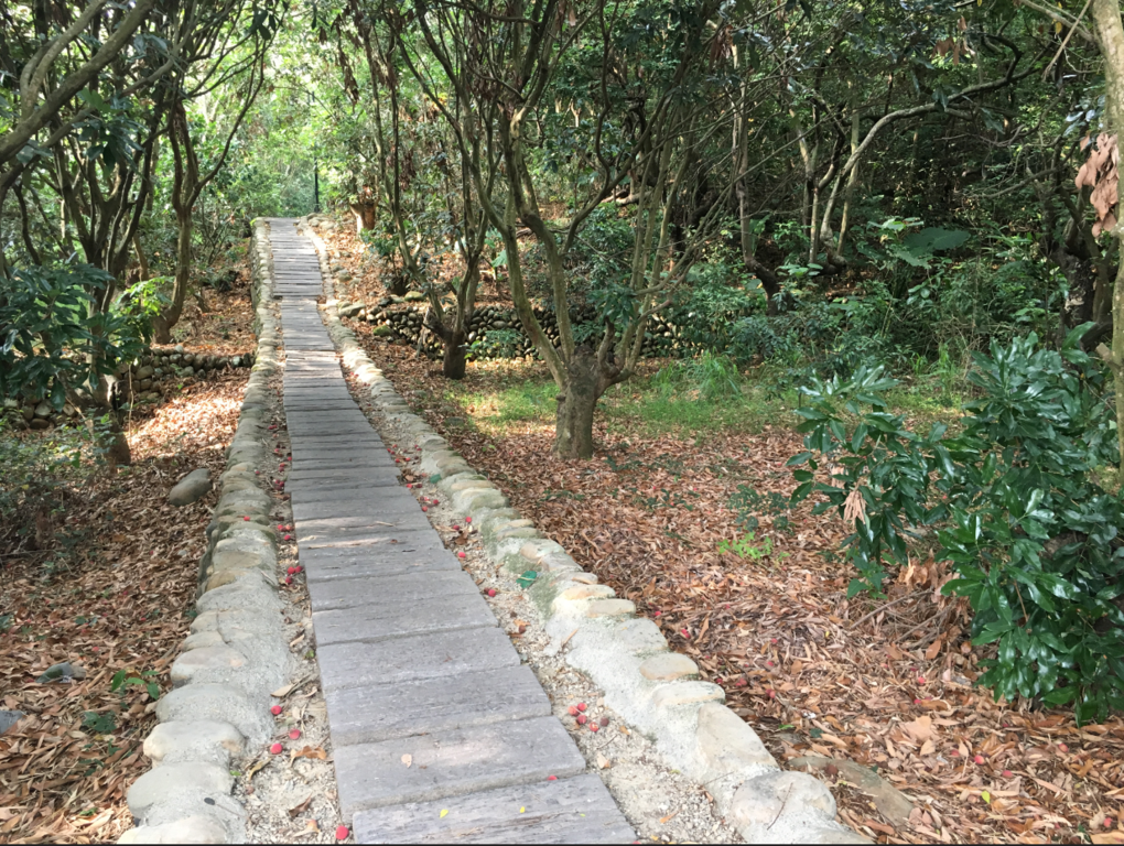 百果山登山步道群萬里長城步道（二百崁步道、三百崁步道、四百崁步道）景觀