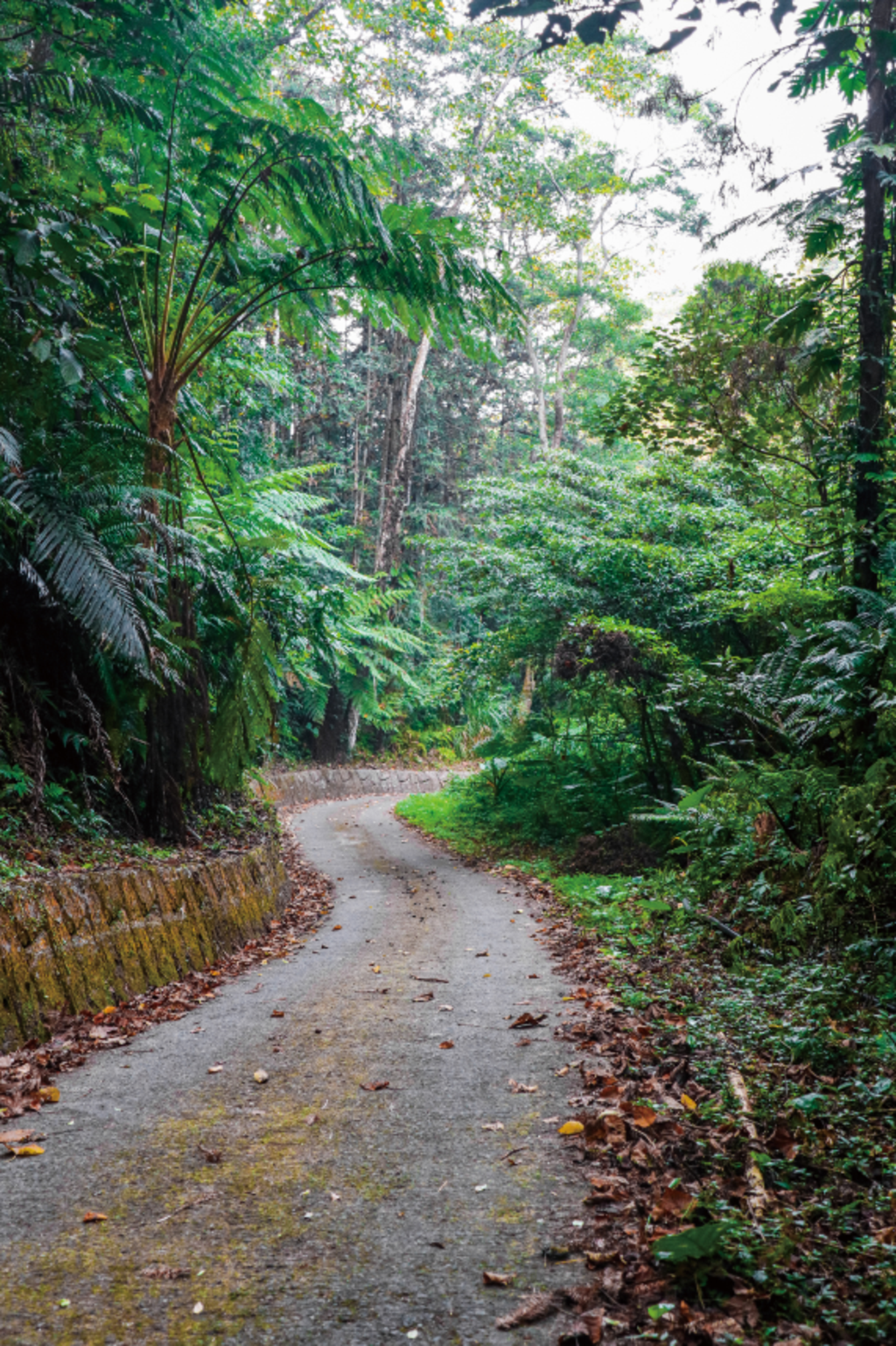 東江新邨部落-南天古道