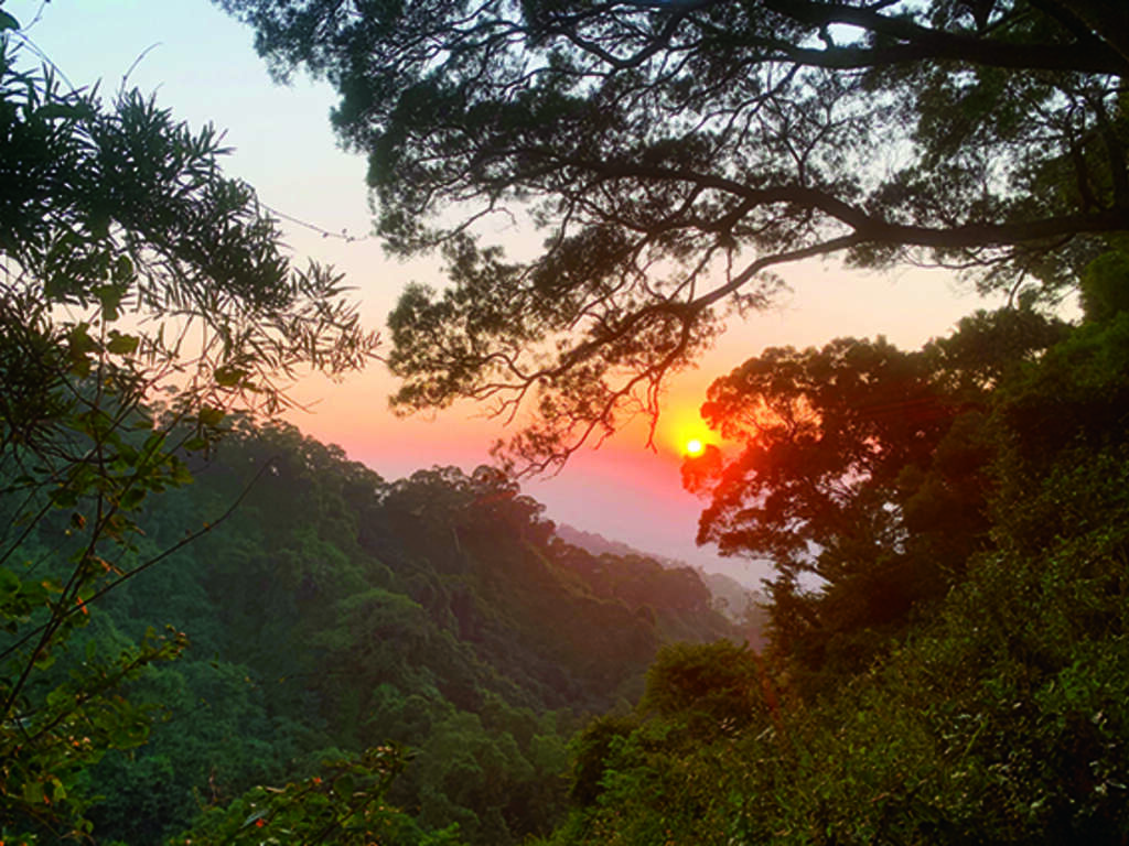 Tianzhong Forest Park
