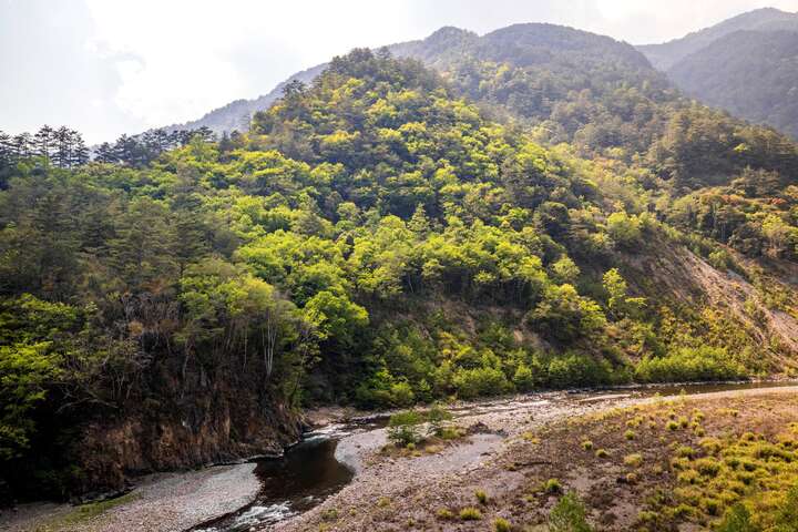 松茂部落-蒐鹿步道