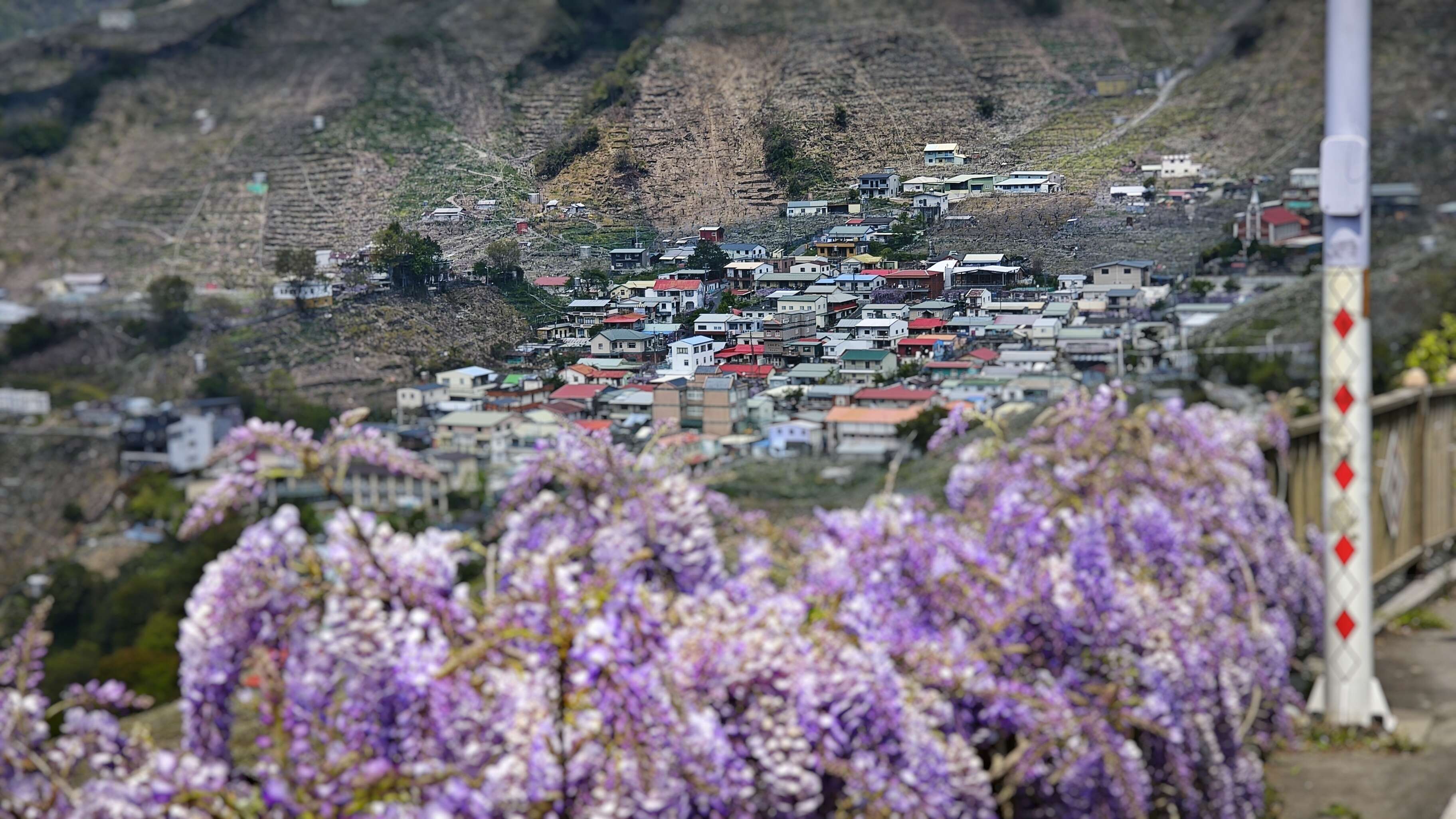 環山部落-獵人步道