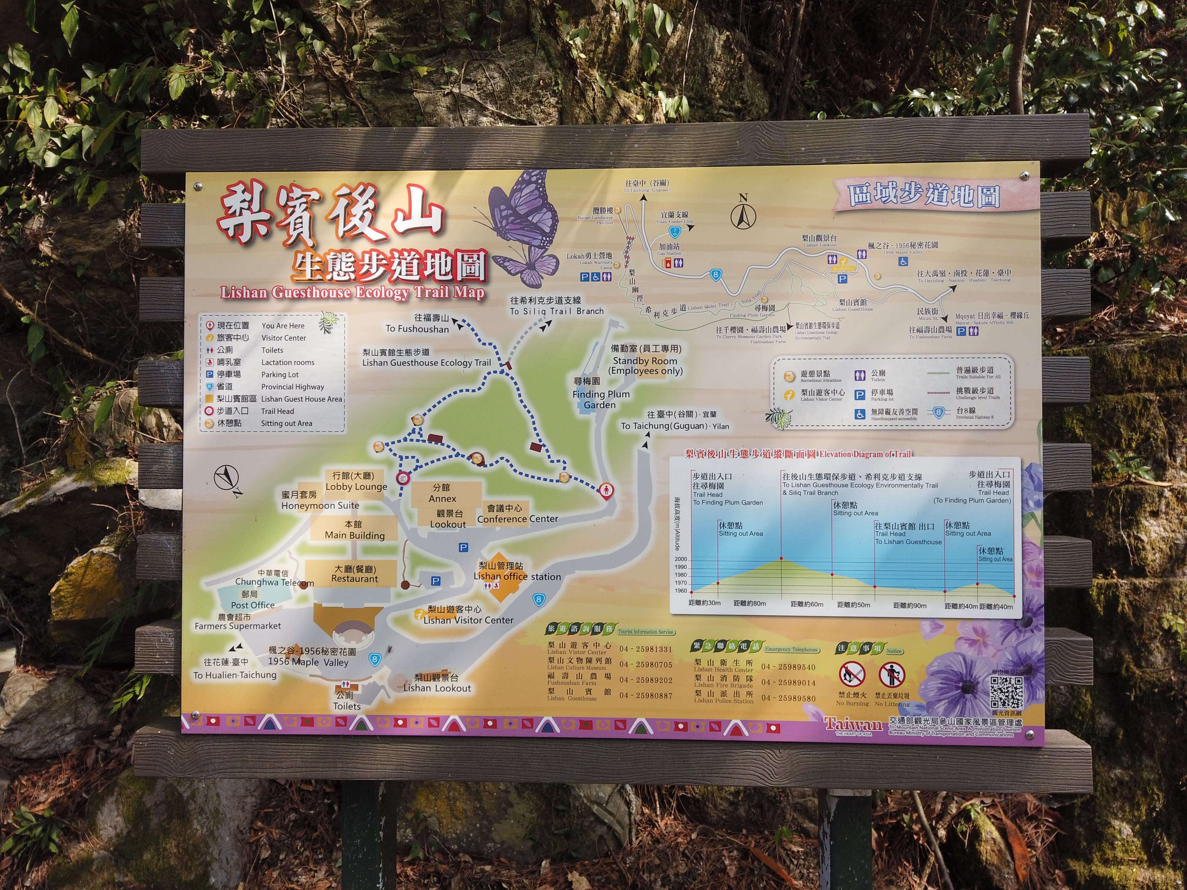 梨山賓館生態環保步道