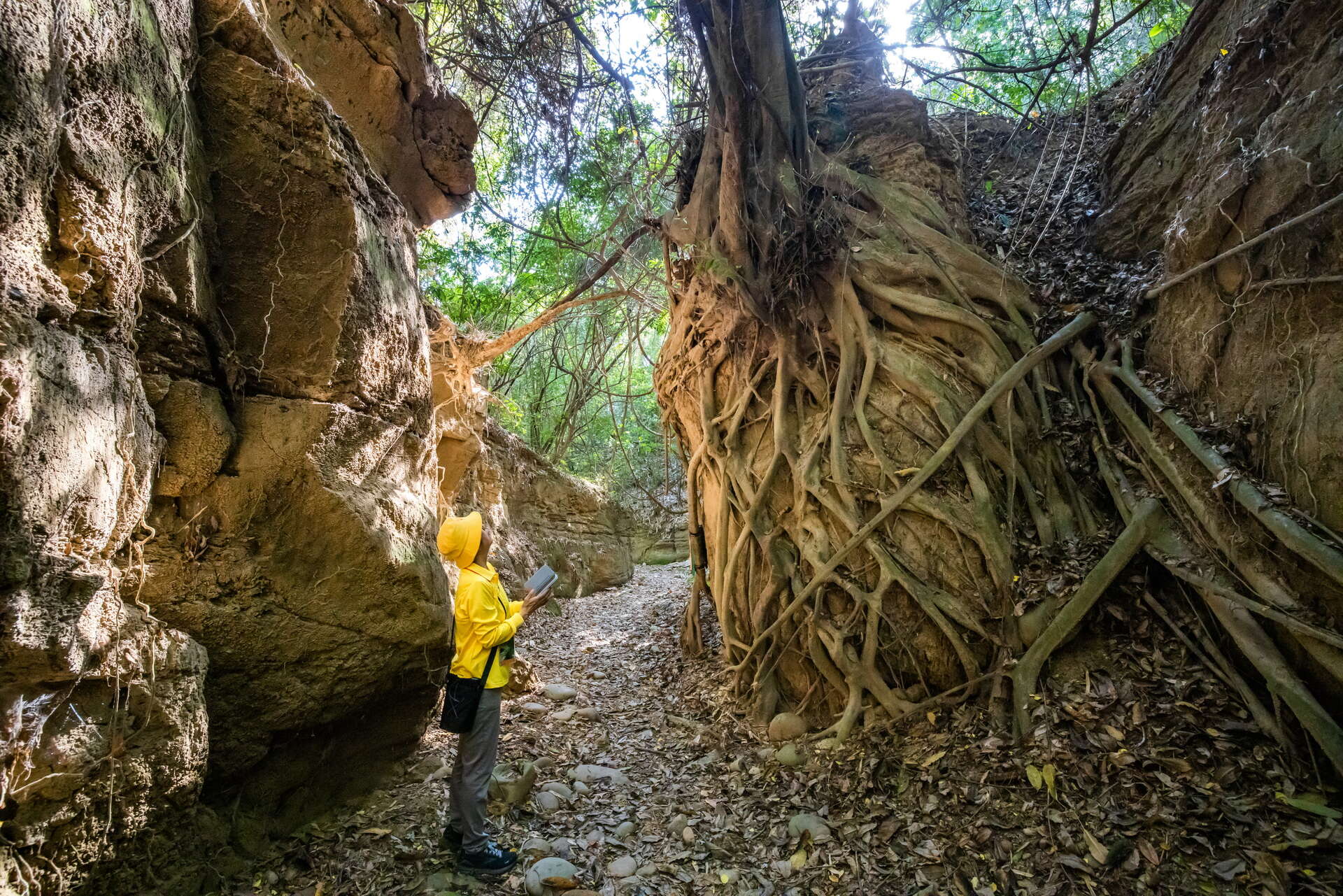 彰化市一線天步道