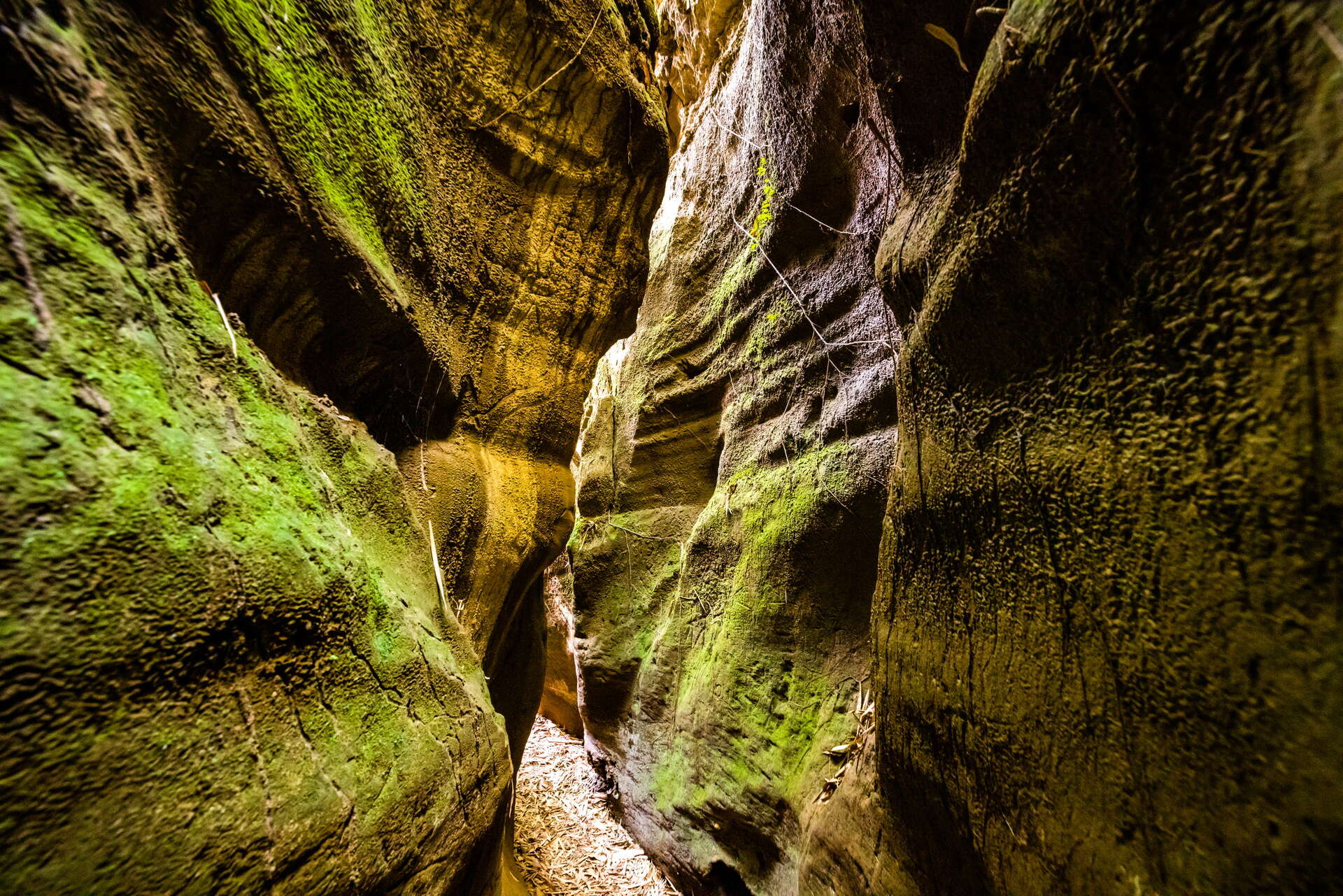 彰化市一線天步道