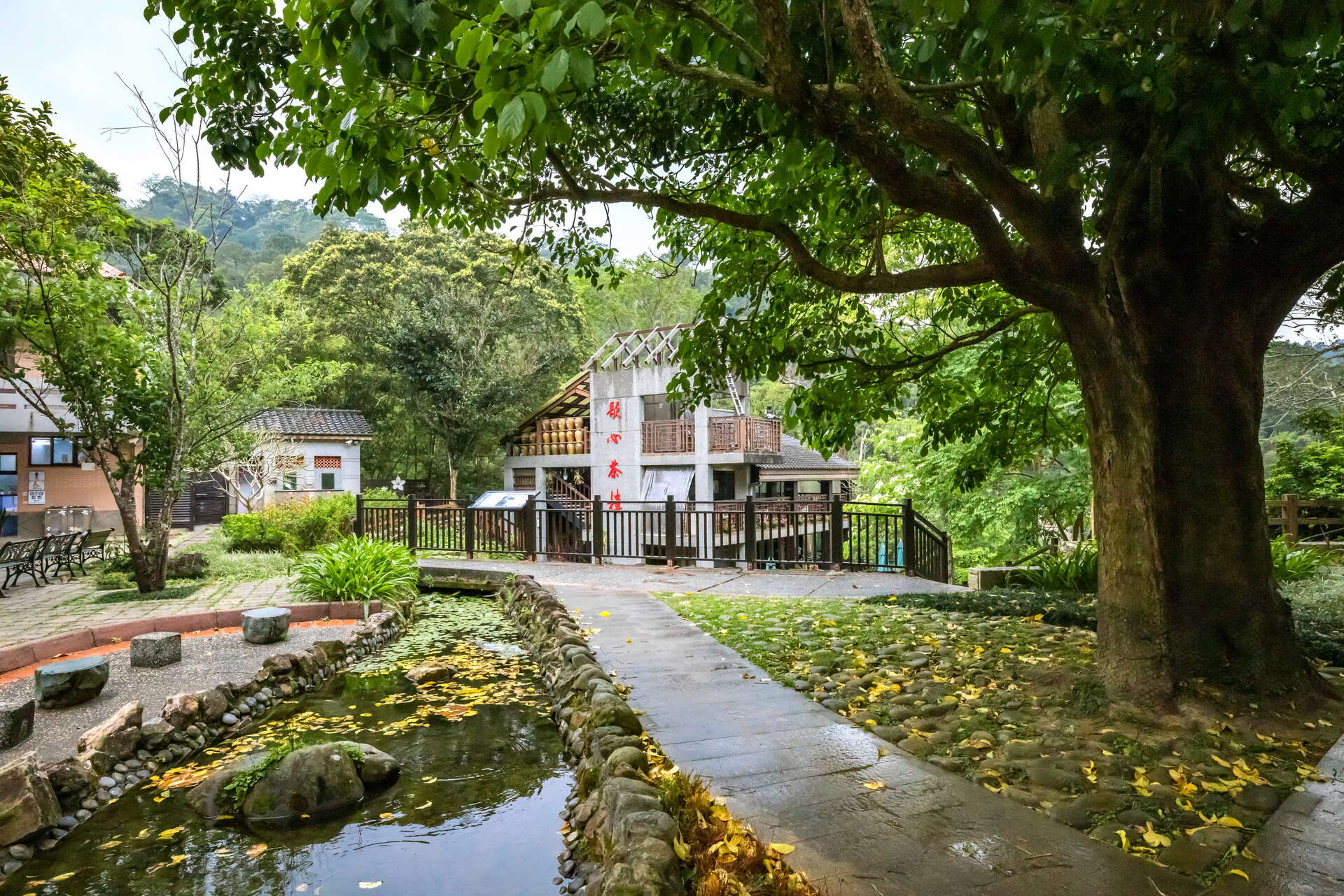 Xiexin Tea House－Tri-Mountain National Scenic Area Headquarters