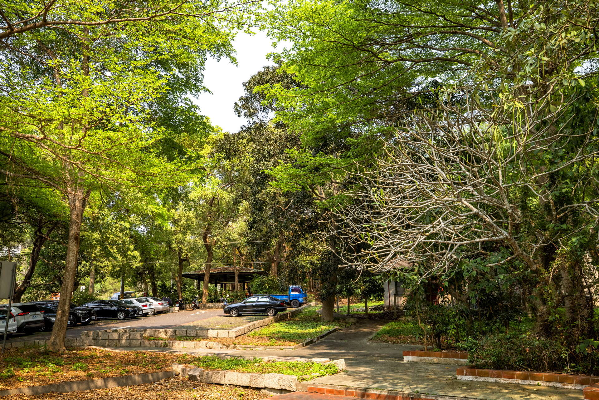 田中森林公園－參山国家風景区管理处