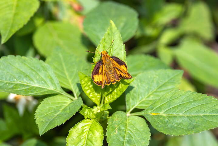 山塘背登山步道