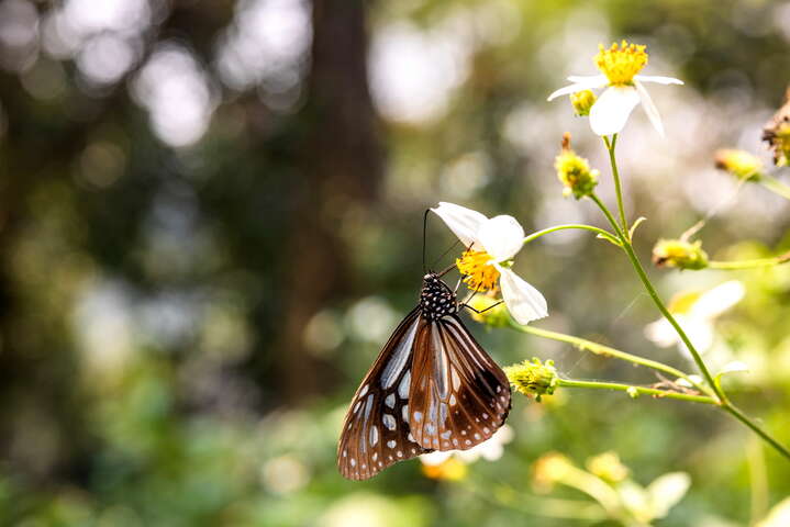 山塘背登山步道