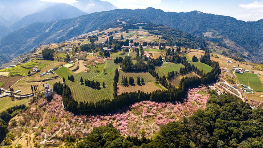 福壽山農場