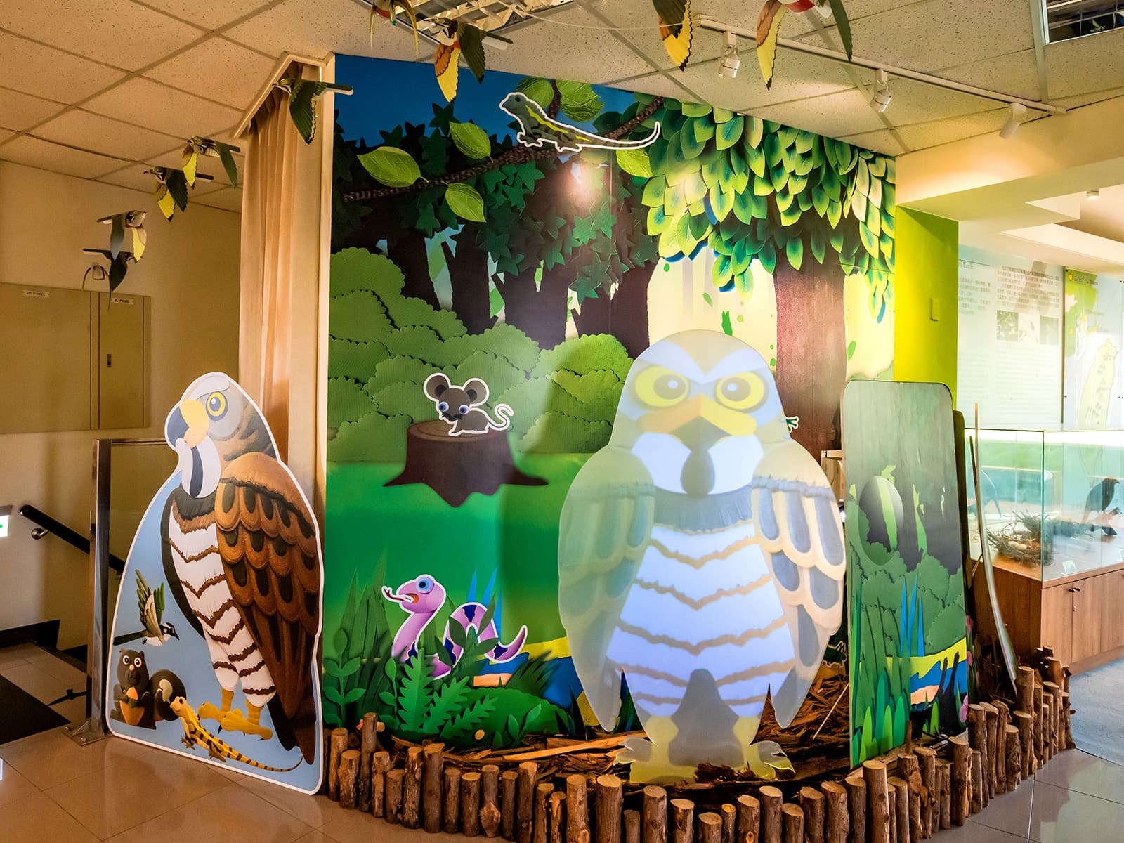 拜訪八卦飛羽世界