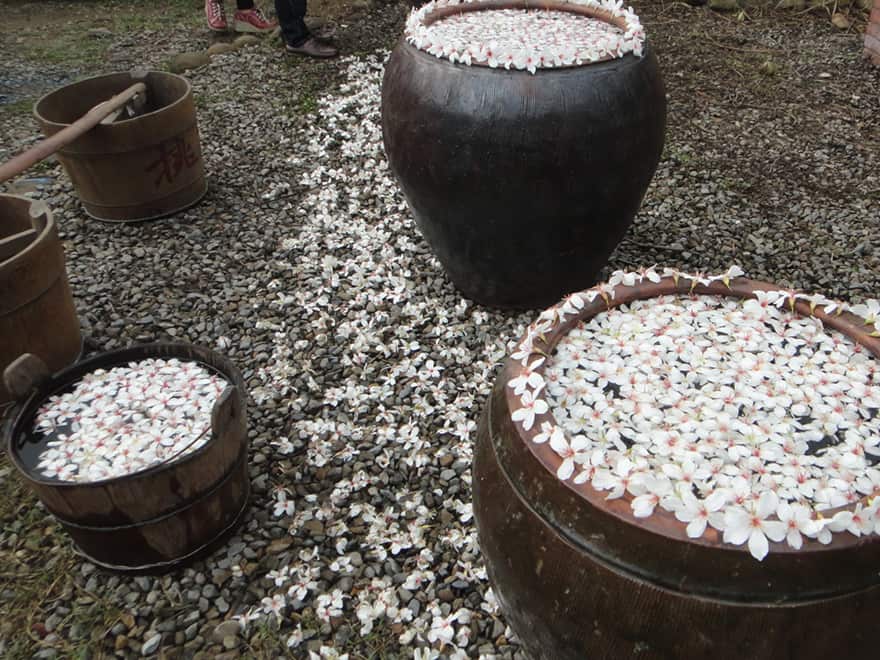 挑水古道
